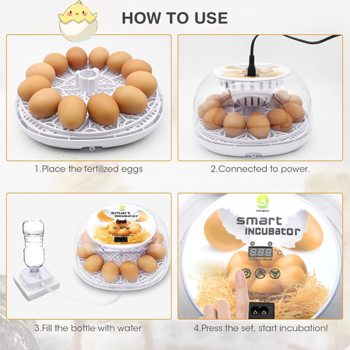 Incubadora De Huevos Con Volteo Automático De Huevos