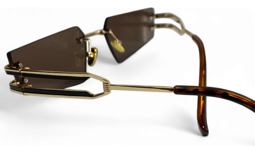 Lentes De Sol Diseño Vanguardista Elegante Unisex Carey Café Café Dorado
