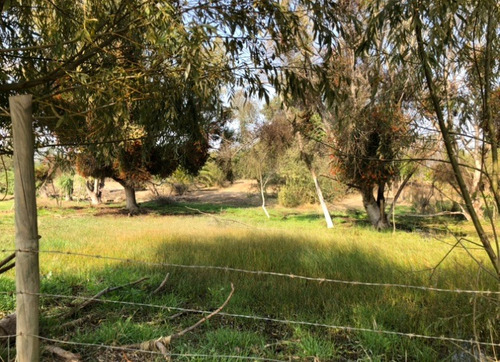 Venta Parcela 1 Hect.con Casa Codigua Melipilla $110.000.000