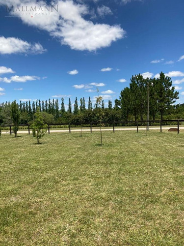 Imagen 12 de 21 de Terreno - La Ranita