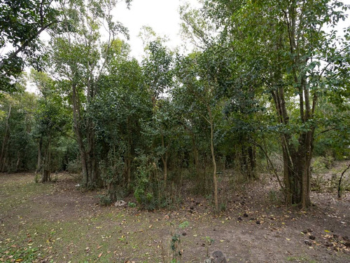 Imagen 9 de 13 de Lote | Mendoza