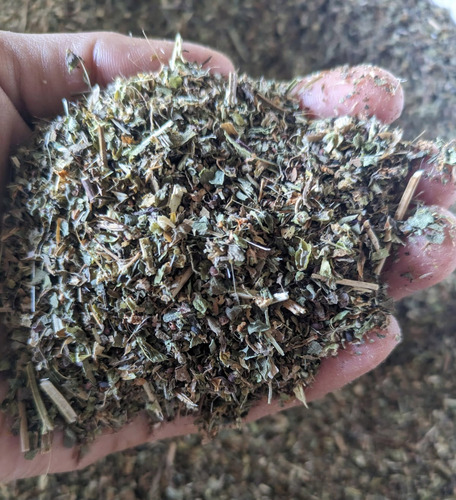 Albahaca Deshidratada 5 Kilos