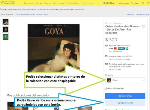 Colección Grandes Pintores - Libros De Arte - Por Separado