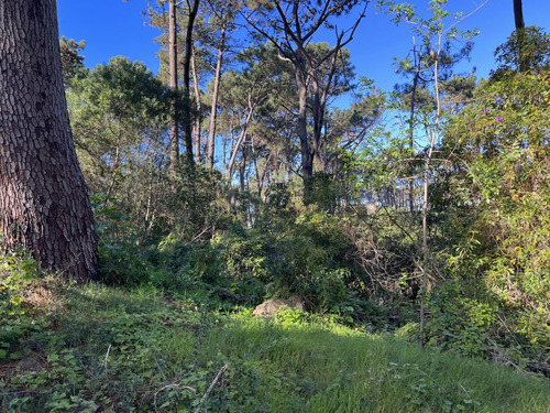 Lote En Venta (ref: Bpv-9687)