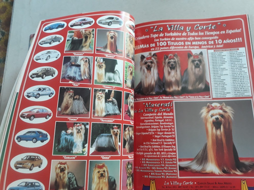 La Revista Del Perro N° 36 Terrier Chihuahua Rottweiler (Usado)