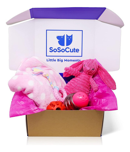 Caja De Regalo Para Perros Sosocute Pink - Juego De 5 Juguet