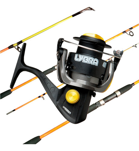 Combo Pesca Variada Profesional Caña 2 Tramos Reel Nylon 