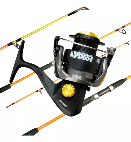 Combo Pesca Variada Profesional Caña 2 Tramos Reel Nylon