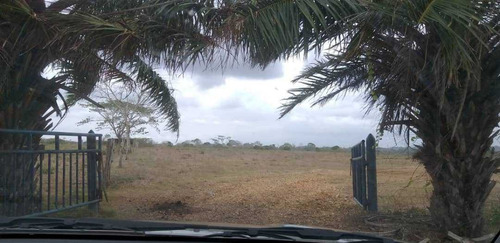 Imagen 11 de 17 de Finca En La Colonia En Yaracal Edo. Falcon