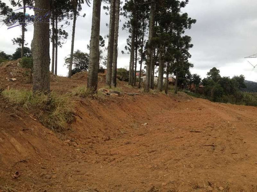 Imagem 2 de 6 de Terreno Para Venda, 2742.65 M2, Jardim Nossa Senhora Das Graças - Cotia - 23616