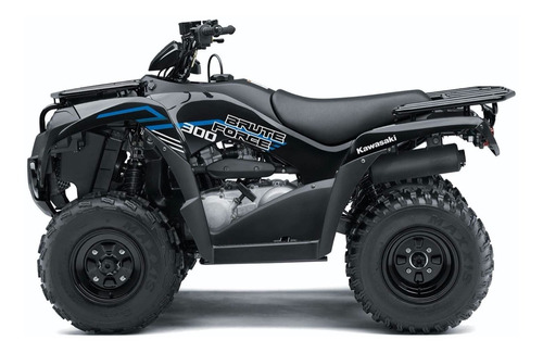 Imagen 2 de 25 de Kawasaki Brute Force 300 2022