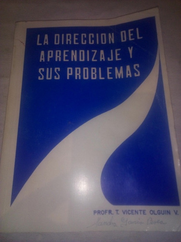 La Direccion Del Aprendizaje Y Sus Problemas Vicente Olguín