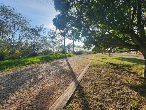 Venta Lote San Diego 152 Mz Xiii Con Todos Los Servicios, Vistas Panorámicas, Proyecto Arquitectónico Incluído En Av Principal Fracc Rancho San Diego Ixtapan De La Sal Edomex
