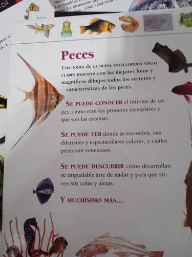 Nueva Enciclopedia Visual Clarin Completa Ciencia Historia N (Usado)