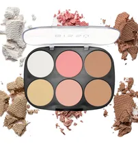 Comprar Paletas Para Rostro Bissu Rubores Iluminadores Bronceadores