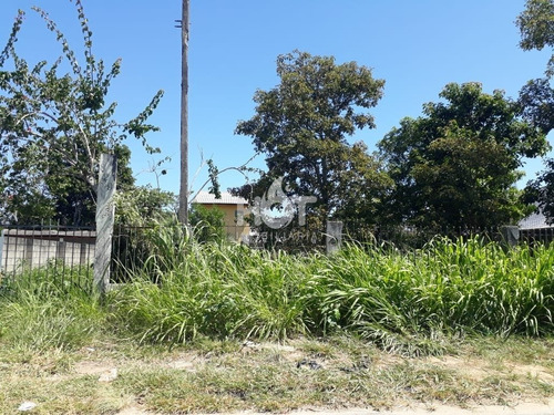 Imagem 3 de 11 de Terreno - Campeche - Ref: 1541 - V-hi72368