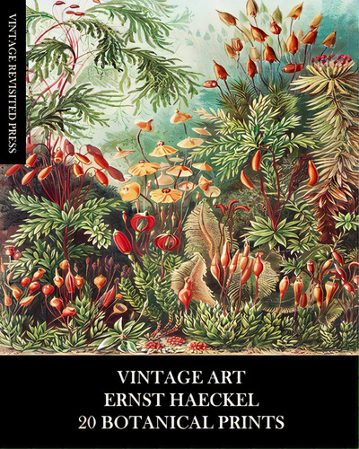 Vintage Art: Ernst Haeckel: 20 Botanical Prints: Flora And Fauna Ephemera For Framing, Collage An..., De Press, Vintage Revisited. Editorial Blurb Inc, Tapa Blanda En Inglés