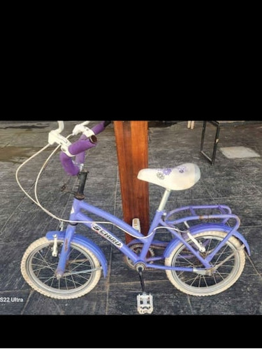 Bicicleta R14