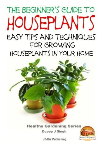 The Beginners Guide To Houseplants Easy Tips And Techniques 