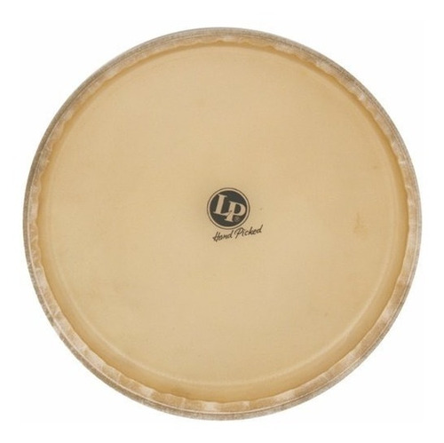 Lp Conga Head 12.5 ''