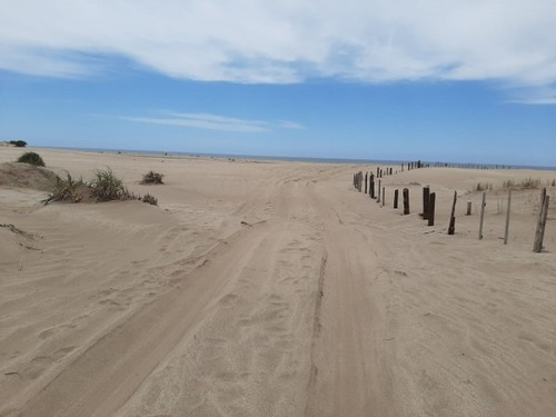 Imagen 2 de 12 de Terrenos De 4,5 Hectareas Cerca Del Mar Zona Mar Azul