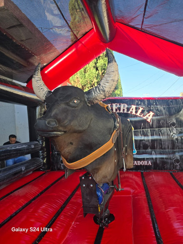 Renta De Toro Mecánico Cdmx Y Área Metropoliana