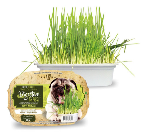 Graminha Para Cães Green Digestive Grass Ipet - 50g