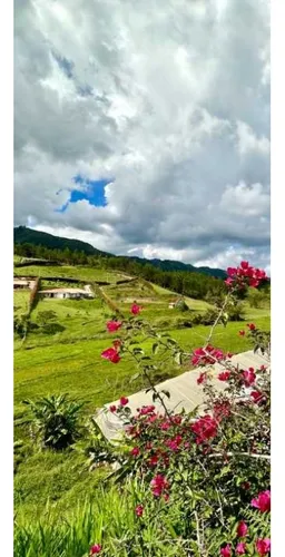 Finca De Producción En Venta En San Vicente, Antioquia