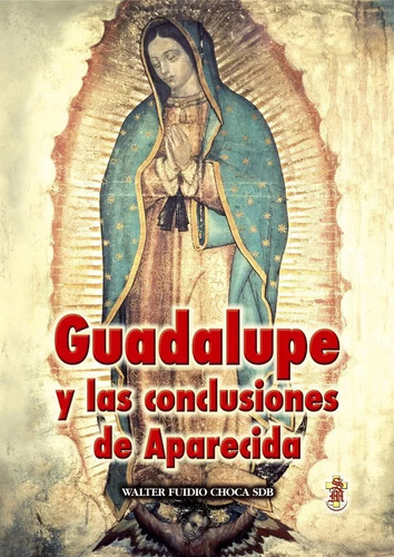 Guadalupe Y Las Conclusiones De Aparecida - Santa Maria