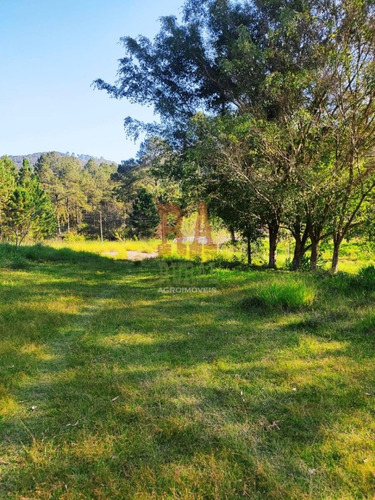 Imagem 14 de 30 de Sítio Em Mogi Das Cruzes Sp
