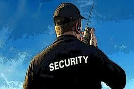 Imagen 1 de 2 de Compañia De Seguridad Privada