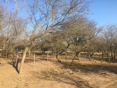 Imagen 10 de 12 de Lote En Venta En Cordoba Calamuchita (460 M). En Pesos.