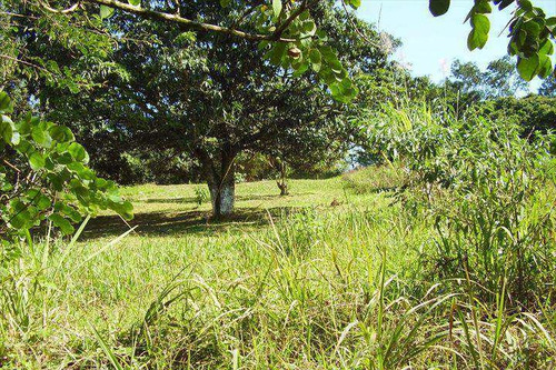 Imagem 3 de 6 de Terreno, Jardim Parnaíba, Santana De Parnaíba - R$ 16.1 Mi, Cod: 67500 - V67500