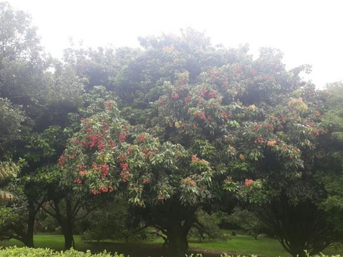 Imagem 11 de 15 de Chácara Para Venda Em Mogi Das Cruzes, Vila Moraes, 5 Dormitórios, 4 Suítes, 8 Banheiros, 4 Vagas - 1531_2-696577