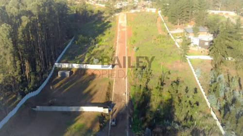 Sitio En Venta En Reñaca