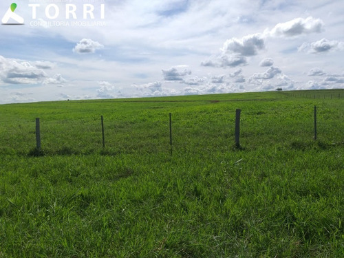 Imagem 20 de 20 de Fazenda À Venda Em Alto Alegre - Fa00176 - 69382951