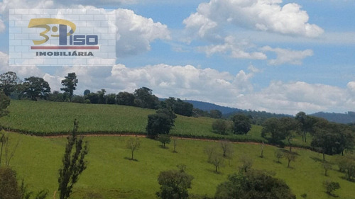 Imagem 12 de 15 de Sítio Em Centro - Ouro Fino - 1460