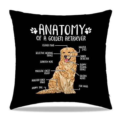 Anatomía De Un Golden Retriever Funda De Almohada 18x1...