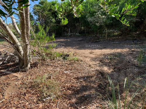Imagen 8 de 13 de Terreno En Venta Manantiales Punta Del Este - Manantiales Altos De Punta Piedras-ref:29050
