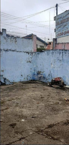Imagem 5 de 30 de Terreno À Venda Na Vila Carmosina - Te1683