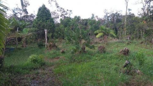 Chácara No Litoral Com 3 Quartos Em Itanhaém/sp 3861-pc