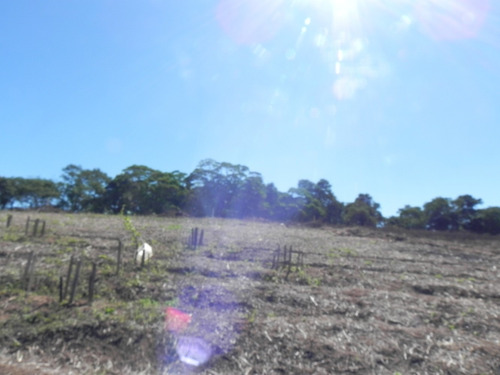 Ig Oportunidade Única - Residencial Caminhos Do Sol Ibiúna