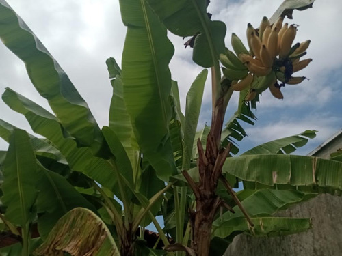 Alto Padrão Sobradão 5 Suites, 4 Varandas, Frente Ao Mar, Vista Direta, Condominio Fechado
