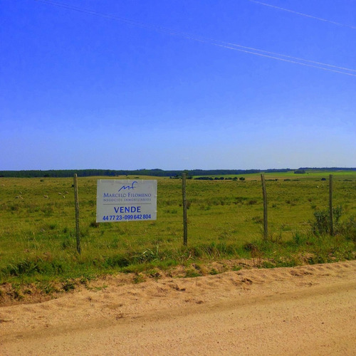 Venta Chacra En Pueblo Garzón, Maldonado