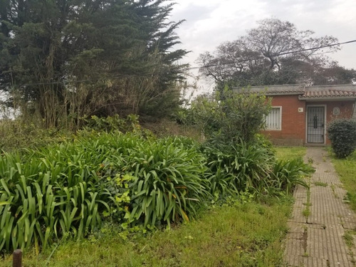 Imagen 4 de 14 de Venta Chacra San Fuentes 3692, 3 Hectáreas!!!