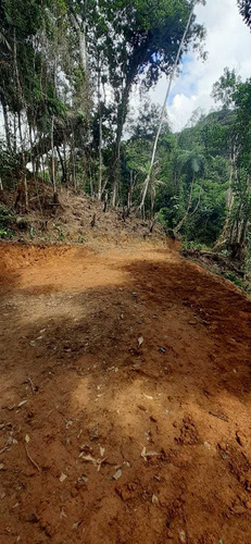 Imagem 14 de 14 de Juquitiba Terreno P Construir/platô/limpo/5000 Mts Ref 05137