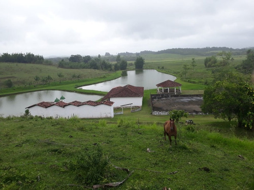 Imagem 9 de 14 de Magnífica Fazenda Em Pariquera-açu Medindo 58 Alqueires
