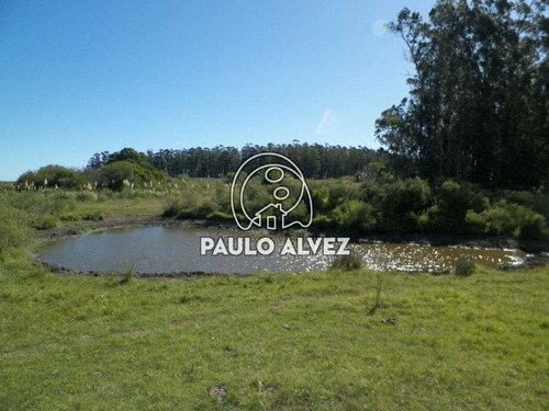 Imagen 1 de 22 de Chacras-venta-cerros-azules-ch064