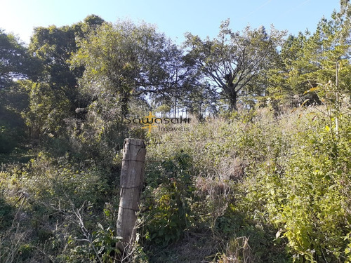 Imagem 17 de 30 de Fazenda A Venda No Bairro Colônia Murici Em São José Dos - 5836-1