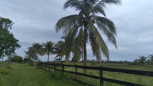 Venta De Terreno 1 H En Playa Zapote Ver. Para Inversionistas